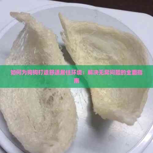 如何为狗狗打造舒适居住环境：解决无窝问题的全面指南