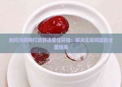 如何为狗狗打造舒适居住环境：解决无窝问题的全面指南