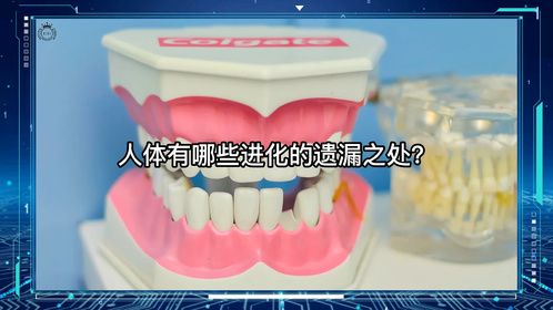 人体有哪些进化的遗漏之处？