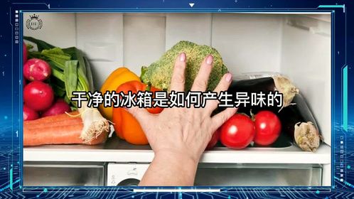 干净的冰箱是如何产生异味的