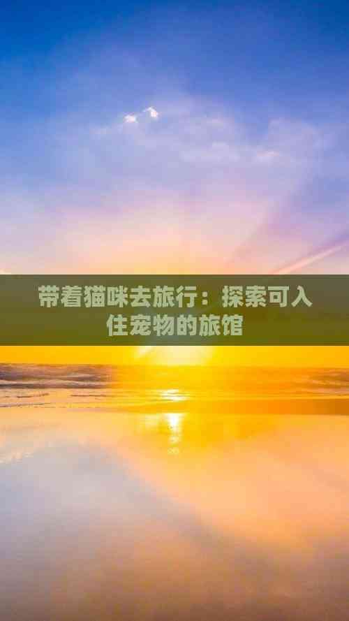 带着猫咪去旅行：探索可入住宠物的旅馆