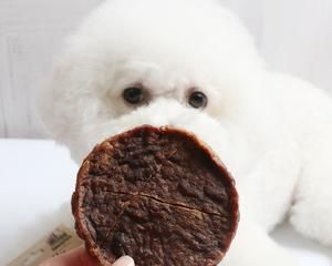 哪些月龄的狗狗适合吃磨牙饼干（为宠物选择健康的磨牙食品）