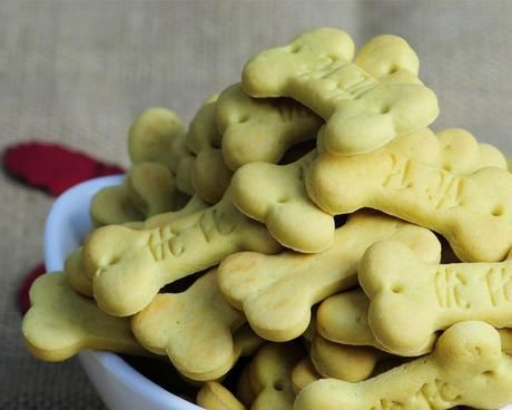 哪些月龄的狗狗适合吃磨牙饼干（为宠物选择健康的磨牙食品）