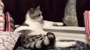 搞笑 表情包