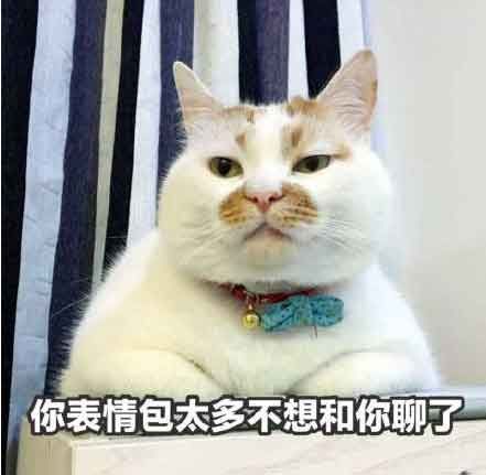 宠物表情包制作示例图-1