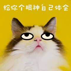 翻白眼无语冷漠猫咪宠物GIF萌宠表情包图片