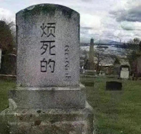 一组搞笑的微信表情包意思图片大全