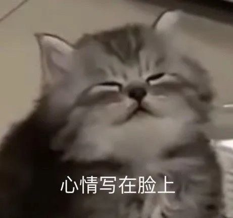 1679300670526348.jpg