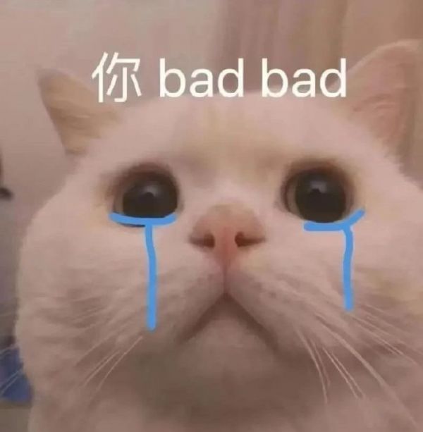 最近很火的猫咪表情包图片大全2022热门精选有点意思