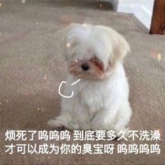 烦死了呜呜呜到底要多久不洗澡才可以成为你的臭宝呀呜呜呜呜_呜呜_臭宝_烦死_洗澡_多久表情