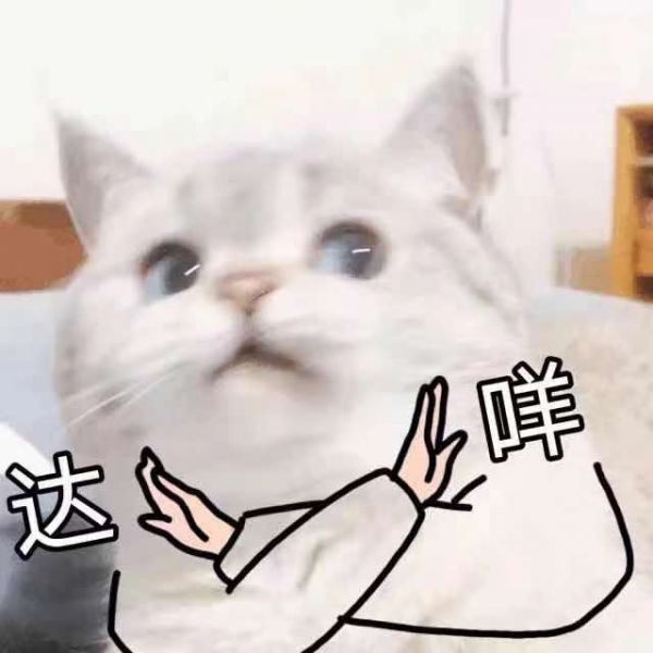 达咩 猫猫不行，不干，不许表情包_猫猫_不干_不许_不行表情