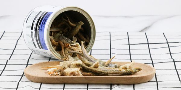 上海高蛋白猫零食品牌 猫生罐养猫罐头供应