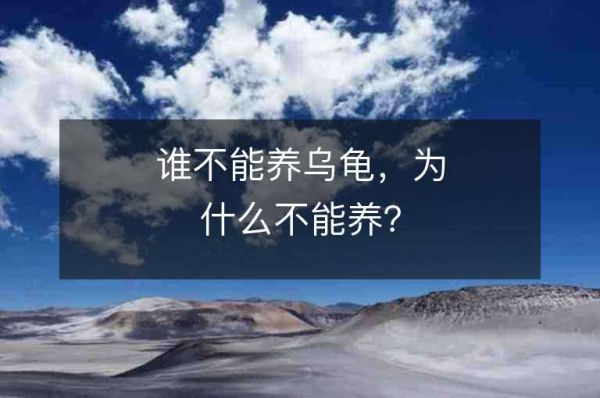 谁不能养乌龟，为什么不能养？