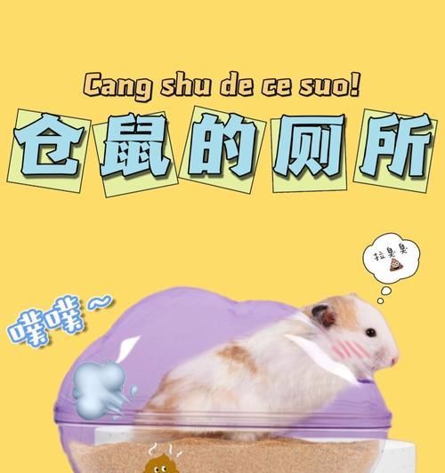 仓鼠啃纸盒的行为如何制止？