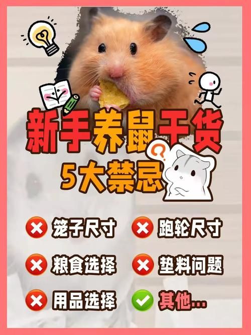 如何养小仓鼠乖乖听话-如何养小仓鼠乖乖听话呢