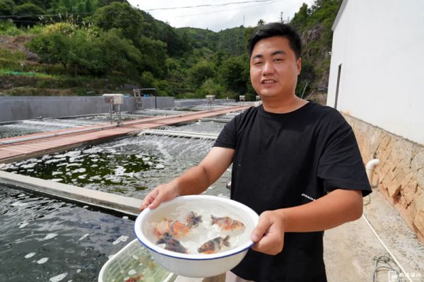 梧桐镇春光村金鱼生态文化养殖基地内，一片繁忙景象。记者 包华 摄