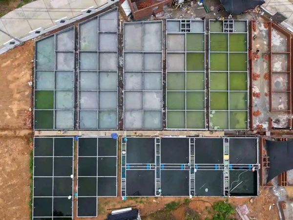 养殖池均配备国内先进的循环水过滤系统和水质监测设备。