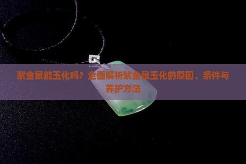 紫金鼠能玉化吗？全面解析紫金鼠玉化的原因、条件与养护方法