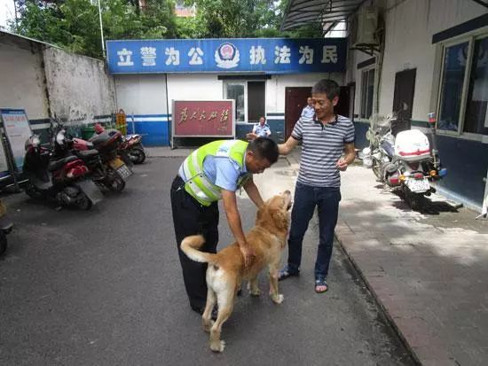 狗狗走丢怎么办？
