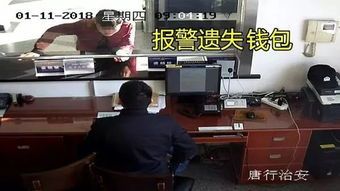 宠物丢失报警：联系警方，提供信息，等待处理。