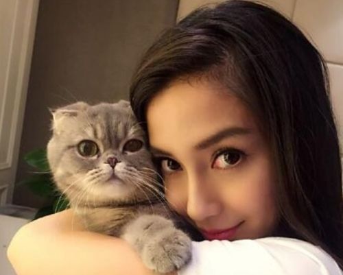 “猫咪脖子护理攻略，宠物必备！”