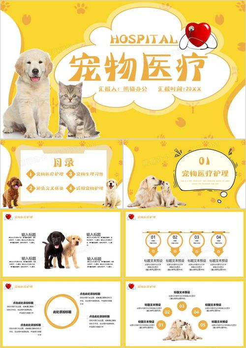 宠物护理秘籍，一网打尽！