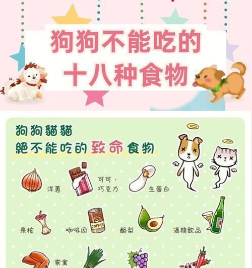 小狗的饮食选择（探索小狗最佳食物选择，为宠物健康提供充足营养）