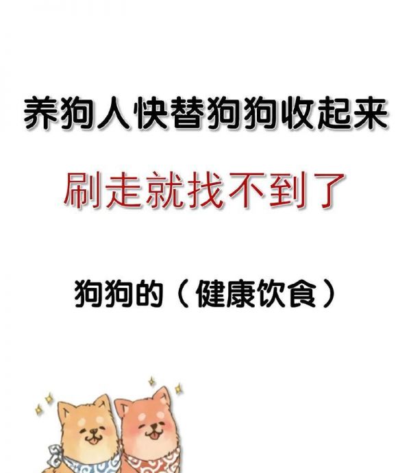 小狗的饮食选择（探索小狗最佳食物选择，为宠物健康提供充足营养）