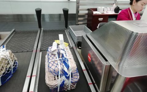 办理空运宠物怎么收费？宠物托运流程与注意事项