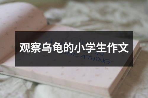 观察乌龟的小学生作文
