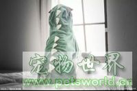 点此在新窗口浏览图片