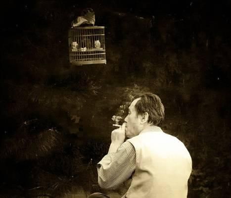 这位老人是贵州最会养鸟的——鸟王“何正义”