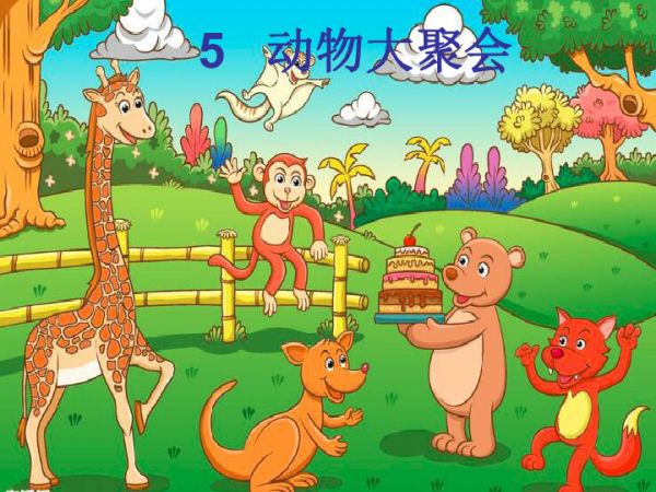 5动物大聚会课件14张幻灯片