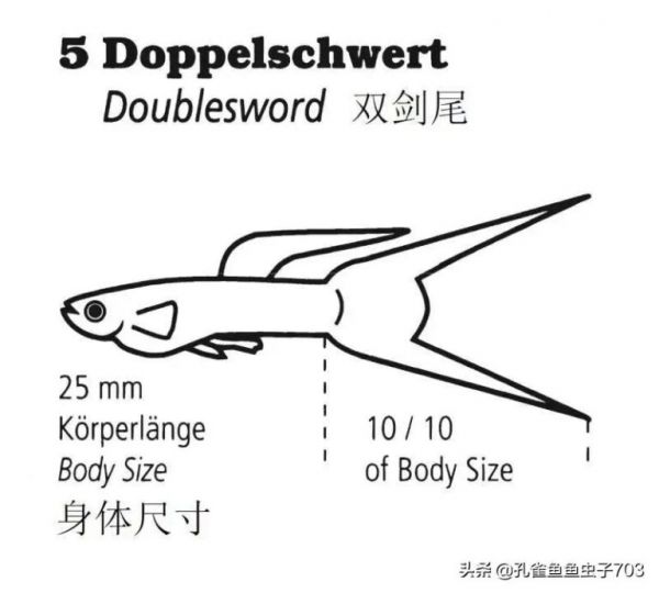 为什么我买的鱼 (孔雀鱼）都很贵啊？