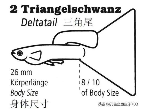 为什么我买的鱼 (孔雀鱼）都很贵啊？