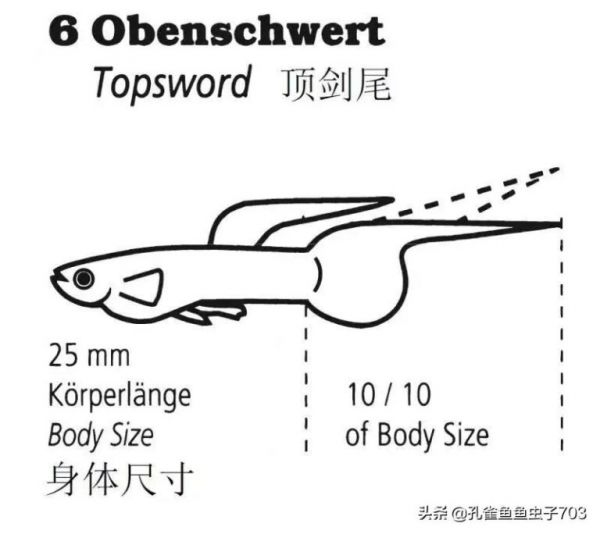 为什么我买的鱼 (孔雀鱼）都很贵啊？