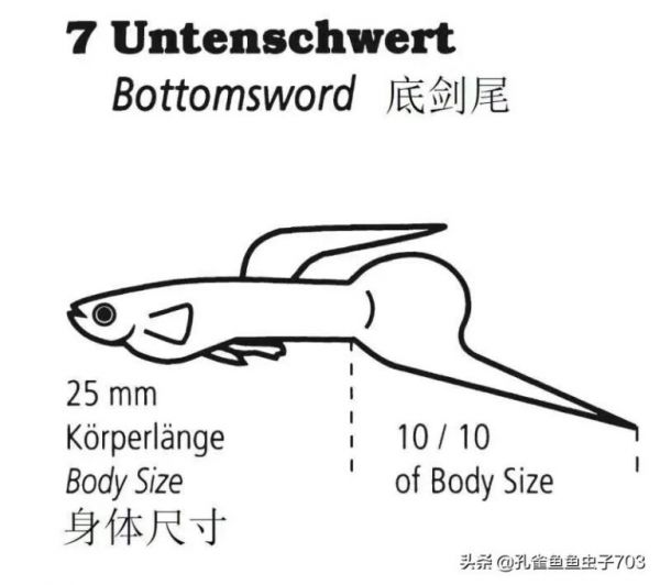 为什么我买的鱼 (孔雀鱼）都很贵啊？