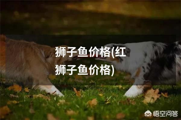 狮子鱼价格(红狮子鱼价格)