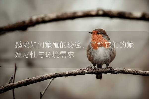 鹦鹉如何繁殖的秘密，了解它们的繁殖习性与环境需求
