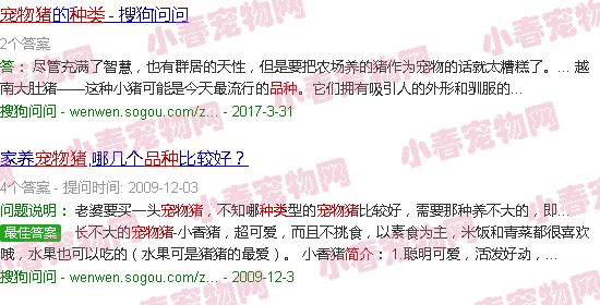 猪品种大全及图片介绍宠物猪品种