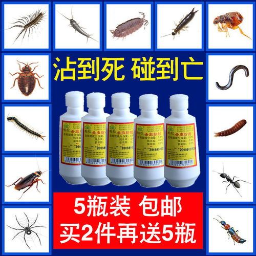 宠物除虫，选对药物是关键。