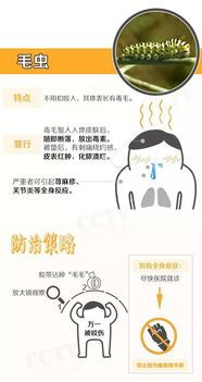 宠物健康，防虫关键，科学护理！