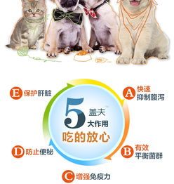宠物拉肚子，喂益生菌调理。