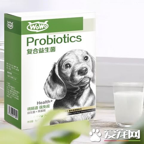 宠物拉肚子，喂益生菌调理。