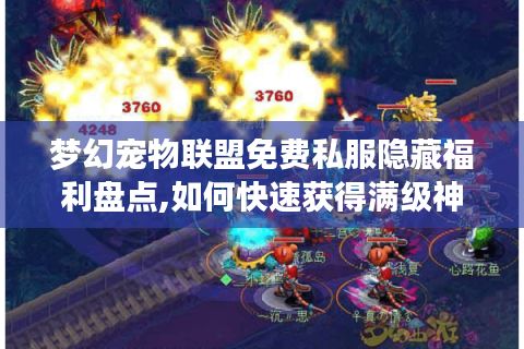 梦幻宠物联盟免费私服隐藏福利盘点,如何快速获得满级神兽?