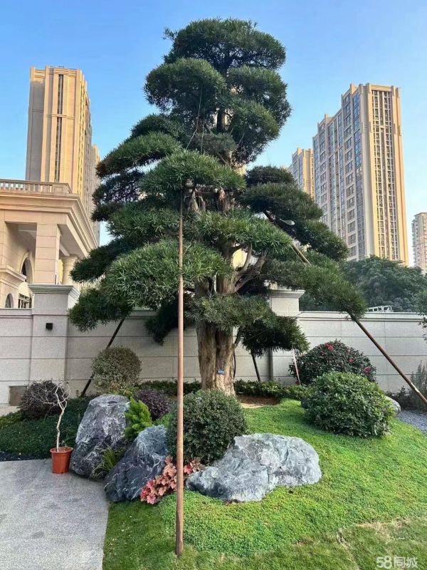 园林景观设计施工、园林绿化养护、假山鱼池、庭院景观绿化别墅绿化喷泉流水