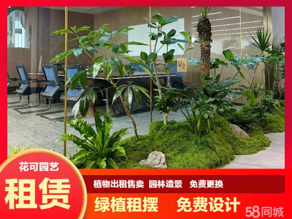 深圳福田花草绿植租摆,盆栽租赁、盆栽租售 免费设计,绿化施工养护