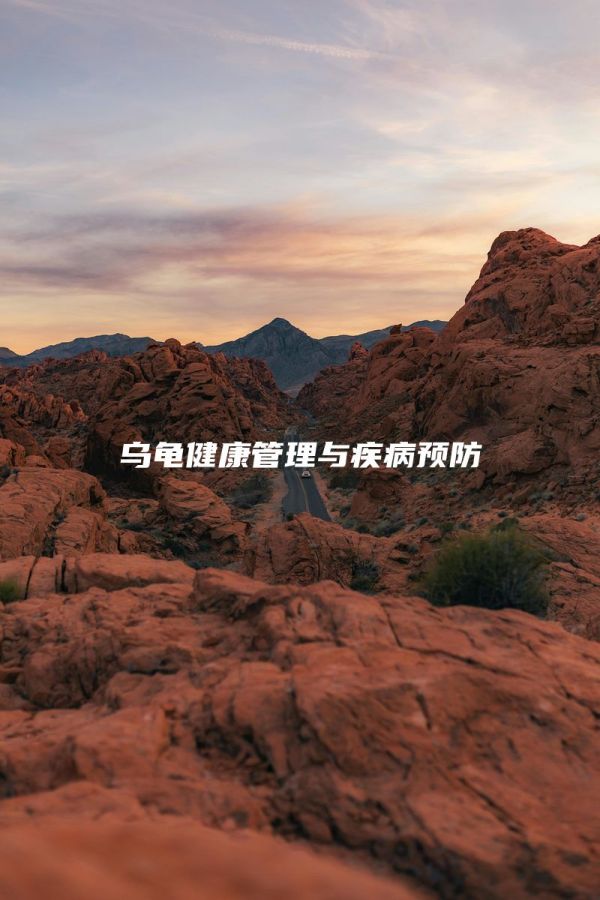 乌龟健康管理与疾病预防