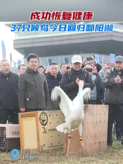 这次放飞的候鸟中，绝大多数都是经过救助后康复的鸟类…