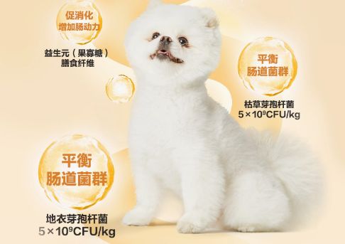博美吃什么狗粮好？网易严选狗粮精准营养配比！